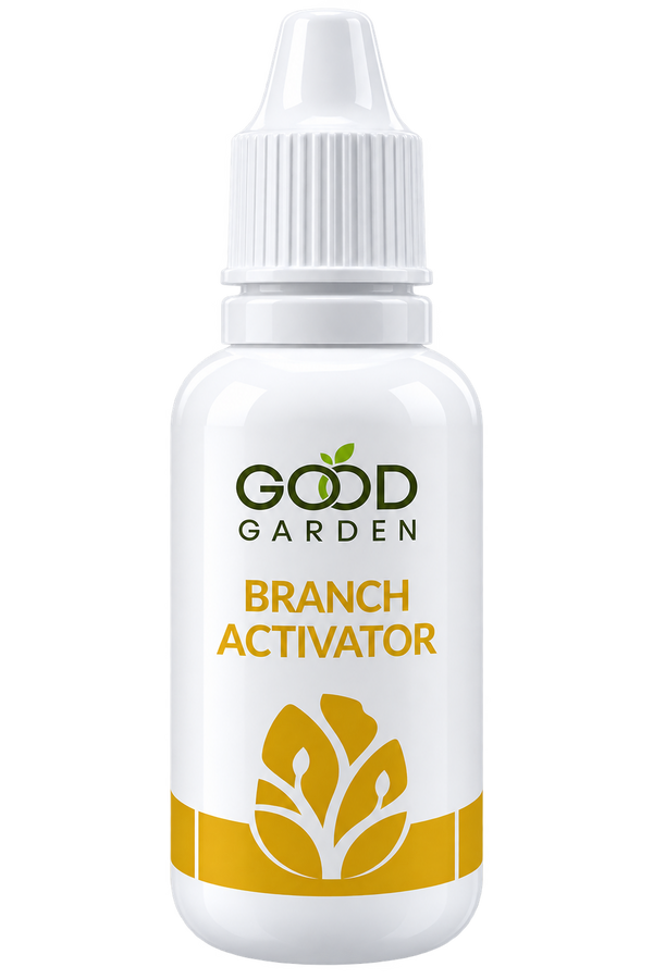 Branch Activator
