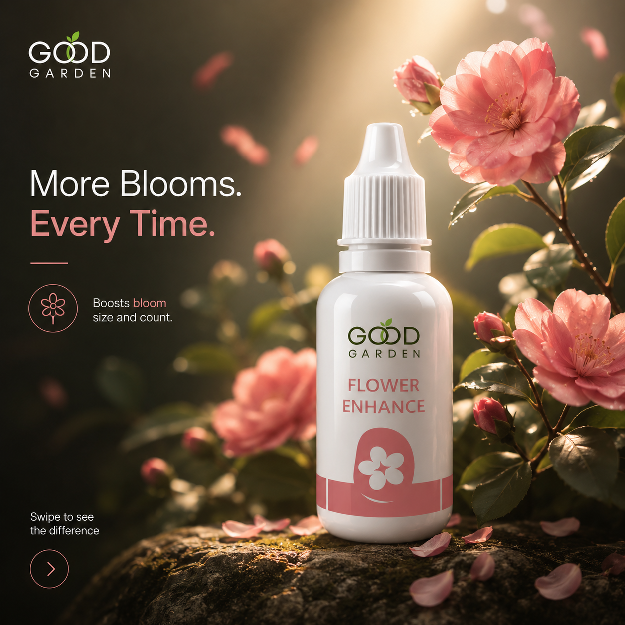 Bloom Stage 1
