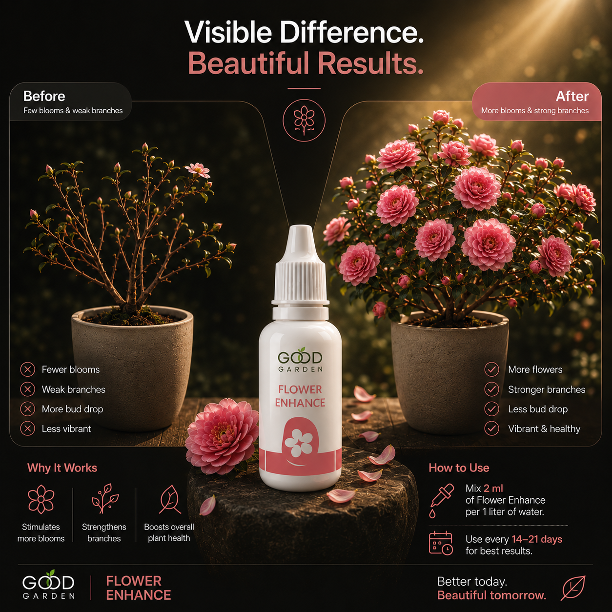 Bloom Stage 4