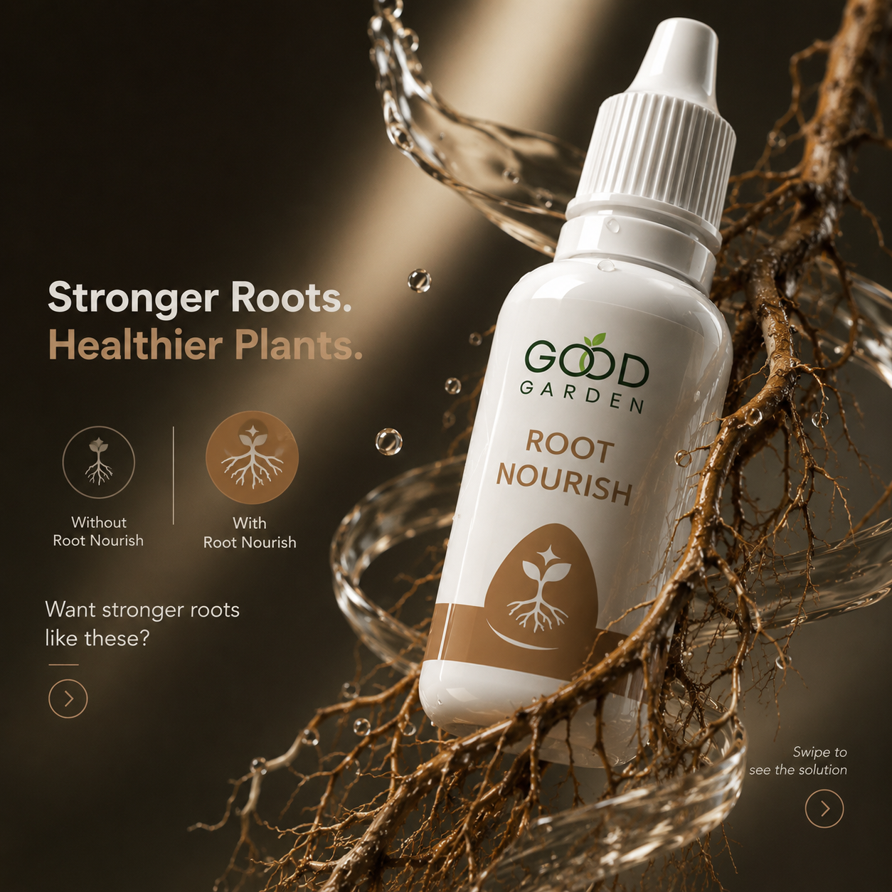 Root Stage 2